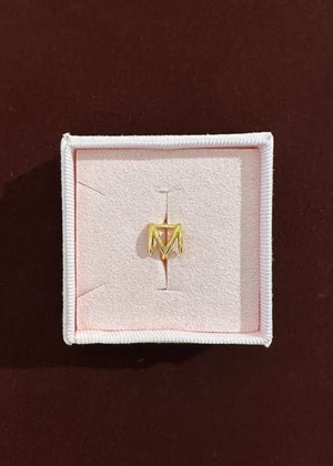 Spelling huggie M Forgyldt Pico 